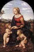 The Virgin and Child with Saint John the Baptist (La Belle Jardinire)  af Raffaello